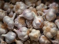 Cook food background garlic fresh ingredient spice nature organic health vegetable