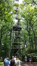 Cook Forest Fire Tower
