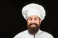 Cook hat. Bearded chef, cooks or baker. Bearded male chefs isolated on black. Funny chef with beard cook. Beard man and Royalty Free Stock Photo