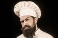 Cook hat. Portrait of a serious chef cook. Bearded chef, cooks or baker. Bearded male chefs isolated on black. Confident Royalty Free Stock Photo