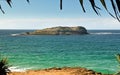 Cook Island From Fingal Head