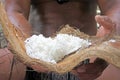 Cook Islander man holds desiccated coconut fruit in Rarotonga Co