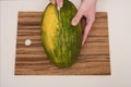 a cook in the kitchen cuts a ripe melon, close-up of hands Royalty Free Stock Photo