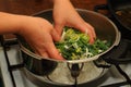 Cook leeks in a saucepan Royalty Free Stock Photo