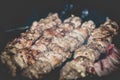 Cook meat on the grill, barbecue, kebab