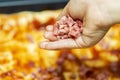 Cook prepares pizza. Cook`s hand. Cook make pizza. Prepare homemade pizza Royalty Free Stock Photo
