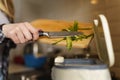 The cook recycling food peels in a compost bin. Woman cooking salad and comopsting organic waste in a bokashi container in a Royalty Free Stock Photo