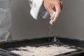 The cook`s hand pours flour onto the baking tray