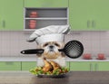 Cook shitzu dog holding a spoon