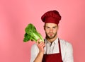 Cook works in kitchen. Man in cook hat and apron Royalty Free Stock Photo