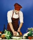 Cook works in kitchen near table with vegetables and tools. Chef with busy face chops cabbage with knife on blue Royalty Free Stock Photo