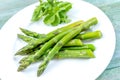 Cooked asparagus on the plate. Season, green background