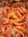 Cooked Australian Tiger Prawns