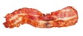 Cooked bacon strip close-up isolated on a white background.