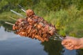 Cooked barbecue meat on skewers in man hand. Outdoors picnic with grill BBQ kitchen. Royalty Free Stock Photo