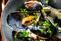 Cooked Blue mussels