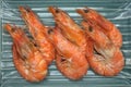 Cooked, boiled, steamed shrimp, prawn Royalty Free Stock Photo