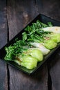 Cooked bok choy with sesame seeds Royalty Free Stock Photo