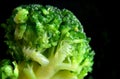 Cooked broccoli is a healthy food with a rich set of microelements, macro photography