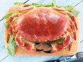 Cooked brown crab or edible crab isolated on the blue wooden table Royalty Free Stock Photo