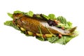 Cooked carp on lettuce leaves.