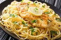 Cooked chicken Francaise with spaghetti in lemon wine gravy close-up on a plate. horizontal