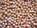 Cooked chickpeas