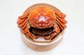 Cooked Chinese hairy crab on white