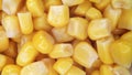Cooked corn close up that rotates