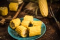 Cooked corn on the cob with salt and butter Royalty Free Stock Photo