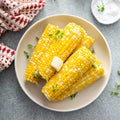 Cooked corn on the cob with salt and butter Royalty Free Stock Photo