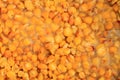 Cooked corn seeds for carp as a baat.