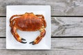 Cooked crab top view on white plate