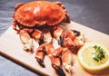 Cooked crabs boiled on wooden board with lemon on black plate served seafood - Red stone crab claw Royalty Free Stock Photo