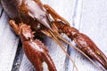 Cooked Crawdad Royalty Free Stock Photo