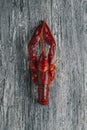 cooked crayfish on a gray table Royalty Free Stock Photo