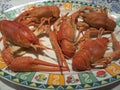 Cooked crayfish Royalty Free Stock Photo