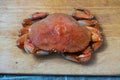 Dungeness crabs on a cutting board