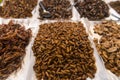 Cooked, Edible Insects and maggot for Human Consumption at a Pub