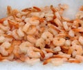 Cooked farmed shrimp on ice at fish market Royalty Free Stock Photo