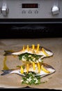 Cooked fish sea bream fish. Royalty Free Stock Photo