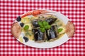 Cooked fish top view. Close-up of freshly cooked pieces of European eel fish served on a porcelain plate with a creamy dill sauce Royalty Free Stock Photo