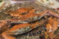 Cooked Flower crabs, locally known as Alimasag, on a rattan platter served for lunch Royalty Free Stock Photo