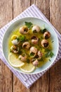 Cooked French snails, escalgot with butter, herbs, lemon and gar Royalty Free Stock Photo