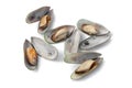 Cooked green lipped mussels Royalty Free Stock Photo