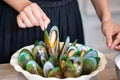 Cooked Green shell mussels