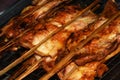 Cooked grilled chicken, colorful, appetizing, grilled on the stove, various ping sticks