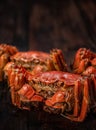 Cooked hairy crabs