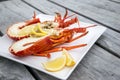 Cooked and halved New zealand crayfish Royalty Free Stock Photo