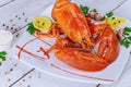 Cooked large lobster with lemon on white plate Royalty Free Stock Photo